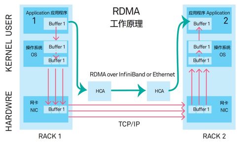 火遍全網的DPU，到底是個啥？連同生物質能資源數據庫信息系統一起看懂